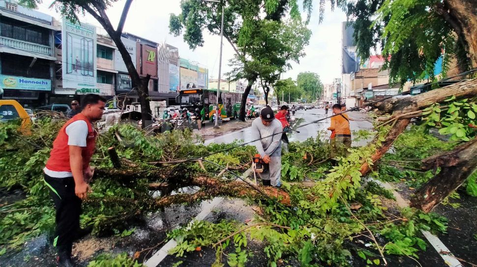 Pohon Beringin Di Magetan Tumbang Menimpa Pemotor