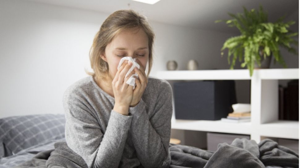 3 Types of Foods and Drinks That Can Relieve Flu Symptoms