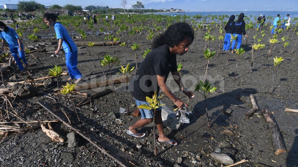 Peserta memungut sampah plastik di area konservasi tanaman mangrove, Pantai Dupa, Palu, Sulawesi Tengah, Sabtu (25/6/2022). [ANTARA FOTO/Mohamad Hamzah/rwa]