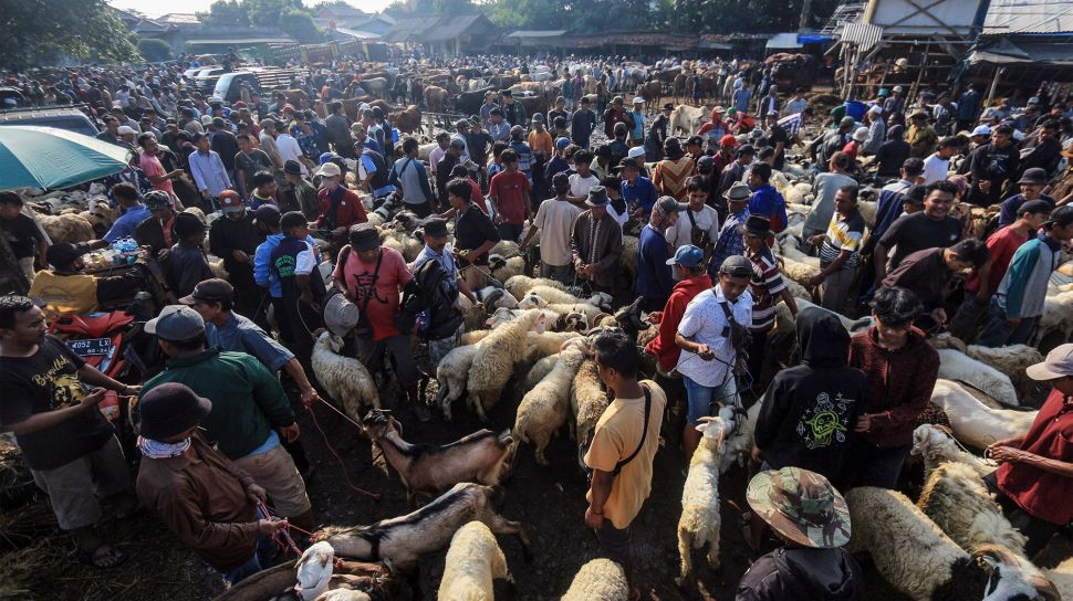Sejumlah pedagang menjajakan hewan untuk kurban di Pasar Hewan Jonggol, Kabupaten Bogor, Jawa Barat, Kamis (30/6/2022).  ANTARA FOTO/Yulius Satria Wijaya

