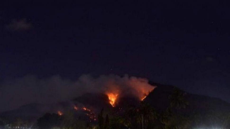 Waspada Potensi Kebakaran Hutan di Nusa Tenggara Timur