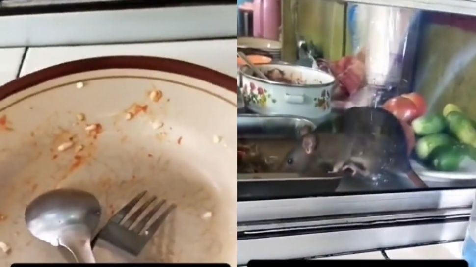 Makan Ludes Tak Tersisa Di Warteg Pelanggan Ini Baru Sadar Ada Tikus