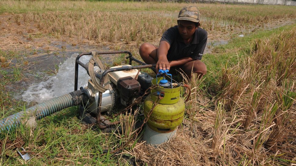 Petani menggunakan pompa air dengan bahan bakar gas elpiji di Bulurejo, Juwiring, Klaten, Jawa Tengah, Selasa (6/9/2022).  ANTARA FOTO/Aloysius Jarot Nugroho