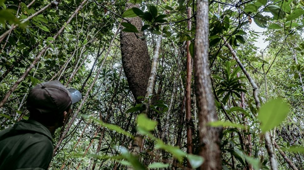 Lanskap Adat, Berpotensi Menjadi Wilayah Konservasi di Pulau Bangka