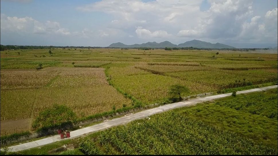 Jalan Usaha Tani Permudah Petani di Jember untuk Mengakses lahan Pertanian