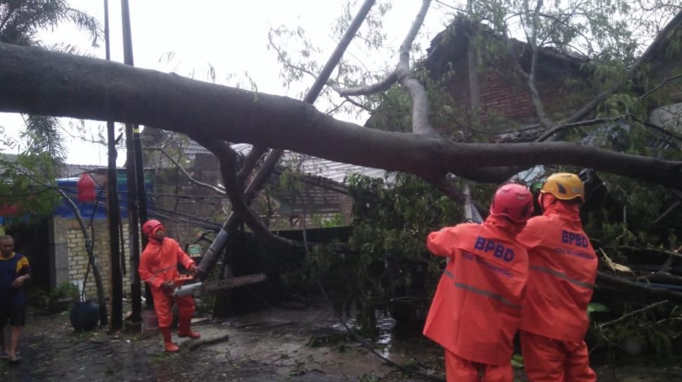 Diterjang Hujan Dan Angin Kencang Pohon Bertumbangan Di Bogor Dan Depok