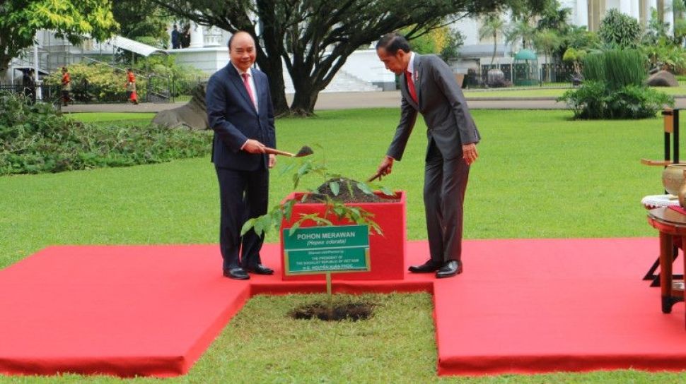 Jokowi Terima Kunjungan Presiden Vietnam di Istana Bogor, Ajak Tanam Pohon Merawan