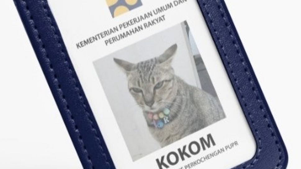 6 Fakta Kokom Si Kucing Kementerian PUPR yang Buat Warganet Iri: Punya Jabatan Hingga Media Sosial Khusus
