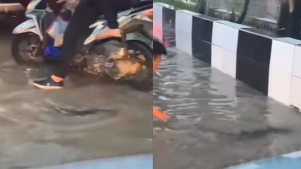 Melintas Di Jalanan Banjir Pengendara Motor Ini Dikejutkan Dengan Biawak