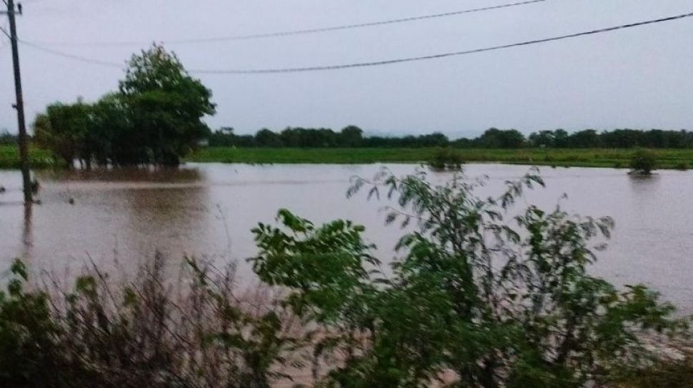 Tiga Desa di Sumbawa Terendam Banjir, Puluhan Hewan Ternak Hanyut dan 250 Hektare Sawah Terendam