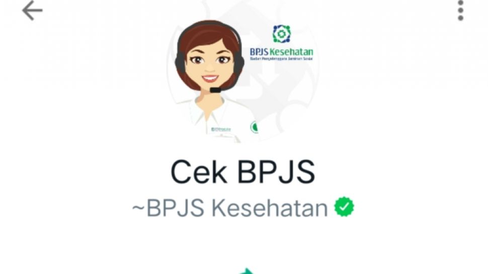 3 Cara Cek Apakah Sudah Terdaftar BPJS Kesehatan Nomor 2 Paling Gampang   46128 Ilustrasi Chat Whatsapp Cek Status Bpjs Kesehatan Dokpri Keza Felicescrenshoot Whatsapp 