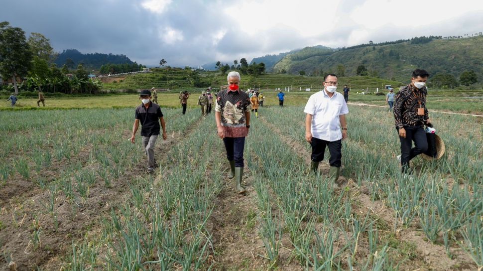 BMKG Ingatkan Ancaman Elnino Tahun Ini Bisa Ancam Ketahanan Pangan Nasional