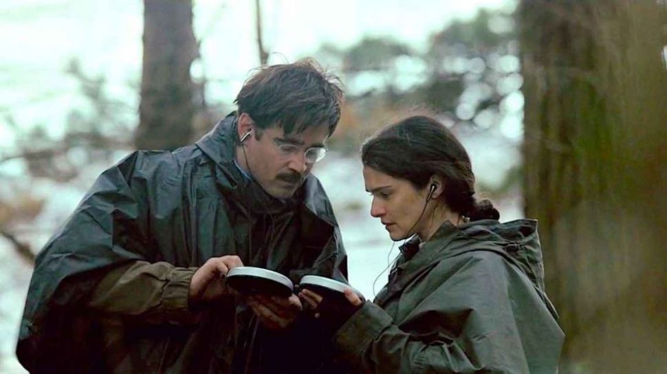 11675 The Lobster 