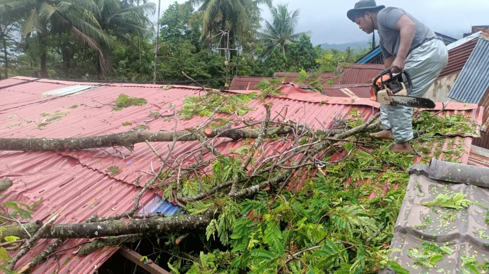 Rumah Warga Padang Ditimpa Pohon Tumbang