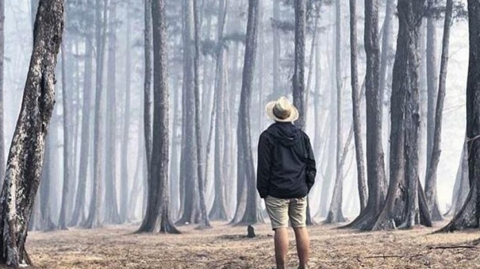 Mengenal Hutan Pinus Samboja, Destinasi Wisata Alam di Tengah Kota Kutai Kertanegara