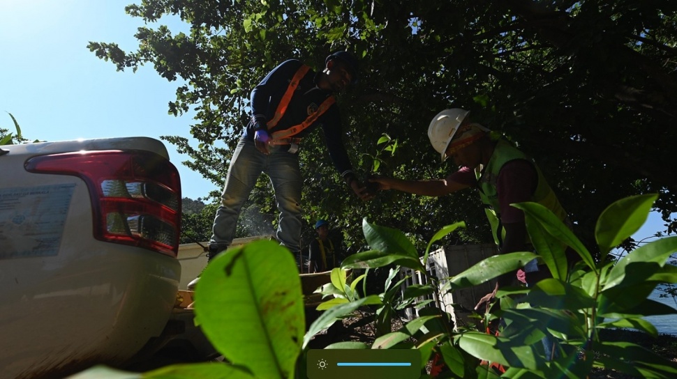 Berikut Upaya Antam Dalam Menerapkan Esg Di Ubp Nikel Maluku Utara