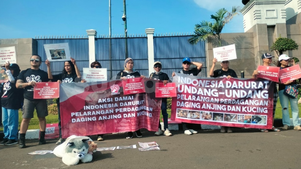 Tolak RUU Larangan Perdagangan Daging Anjing, Baleg DPR Dituding Punya ...