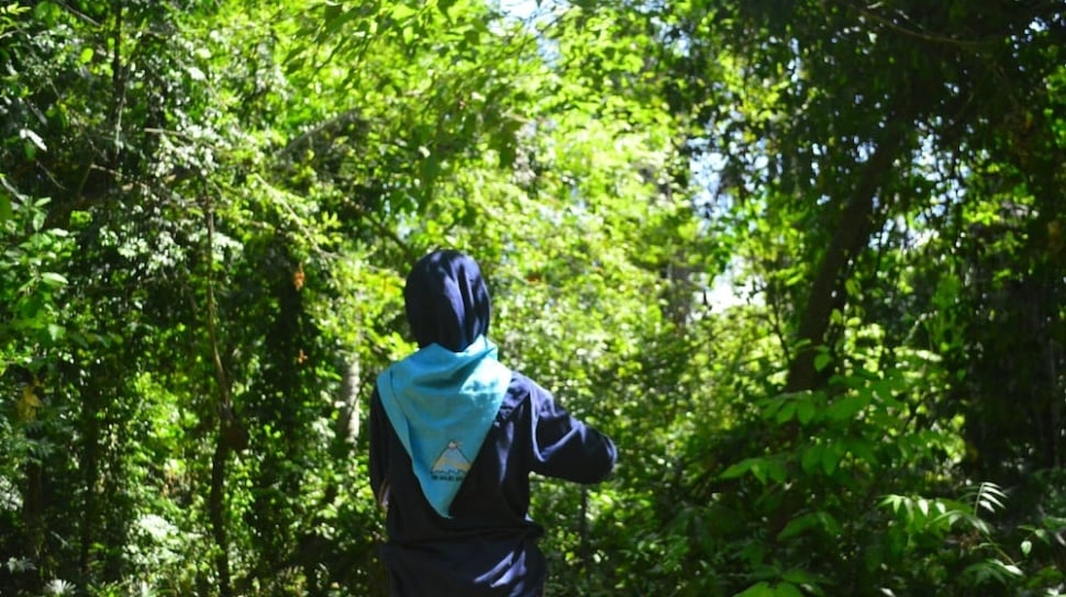 3 Alasan Kenapa Kamu Harus Ikut Andil dalam Gerakan Jaga Hutan