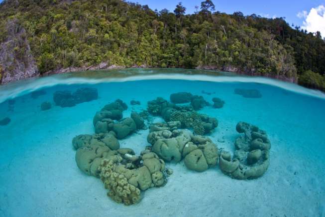 ILustrasi: Keindahan pantai di Raja Ampat. (foto: Shutterstock)