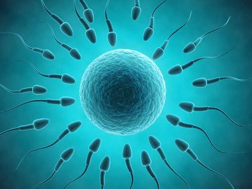 Ilustrasi sperma (Shutterstock).