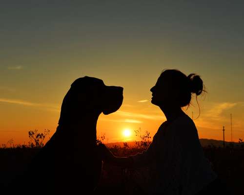 Ilustrasi perempuan dan anjing. (Shutterstock)