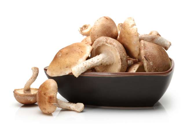 Ilustrasi jamur shiitake. (Shutterstock)