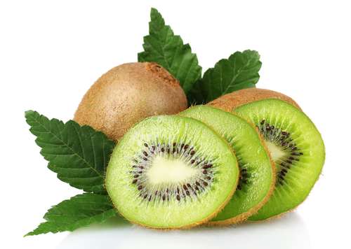 Ilustrasi kiwi. (Shutterstock)