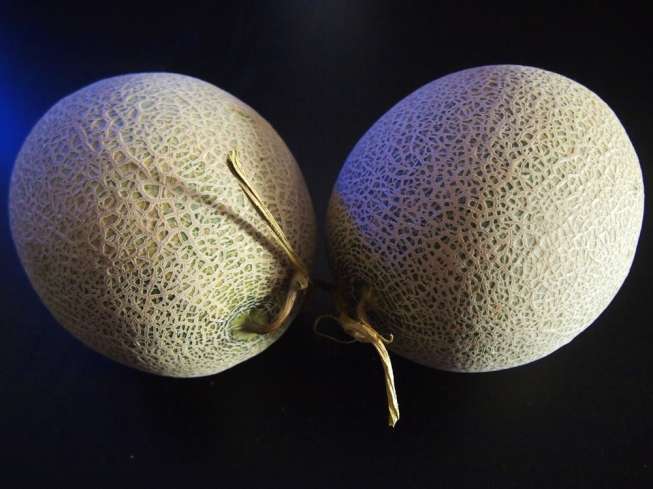 Ilustrasi melon Yubari. (Shutterstock)