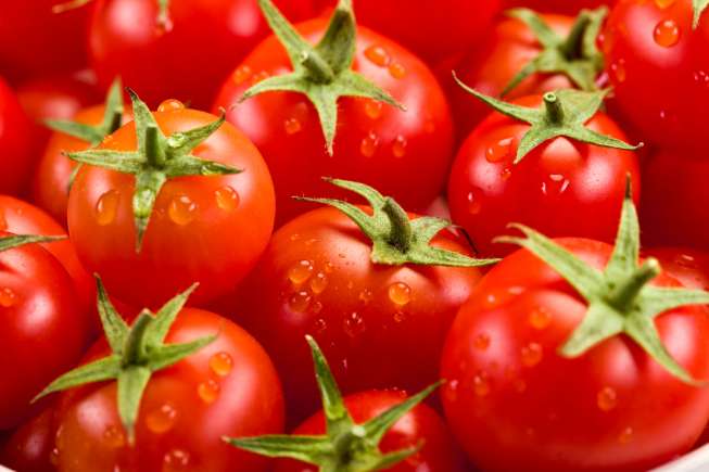 Ilustrasi tomat. (Shutterstock)