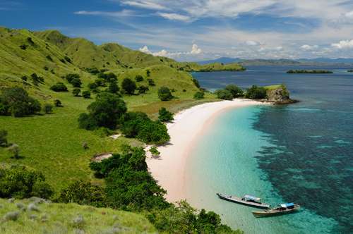 Pemandangan di pesisir pantai Pulau Komodo, Manggarai Barat, NTT (Shutterstock).