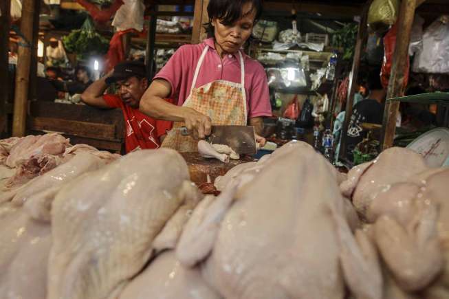 Harga Ayam Potong Turun