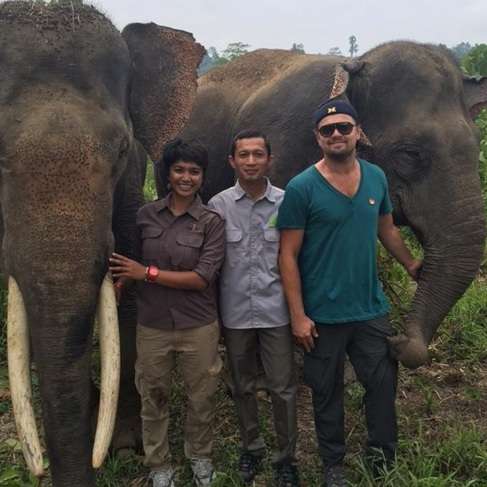 Leonardo DiCaprio pose bareng Gajah Sumatera [Twitter]