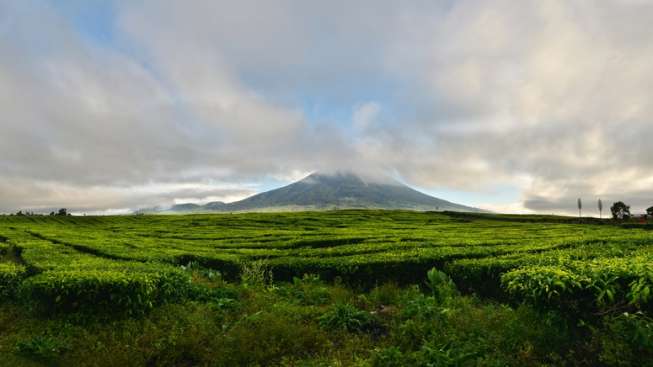 Gunung Kerinci tampak dari kejauhan. [Shutterstock]