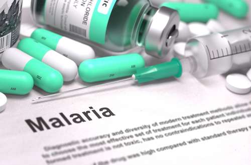 ilustrasi malaria. (Shutterstock)