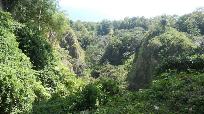 Ngarai Sianok di Bukittinggi, Sumatera Barat. [Suara.com/Adhitya Himawan]