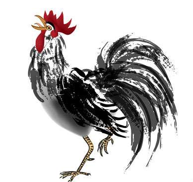 Ilustrasi shio ayam. (Shutterstock)