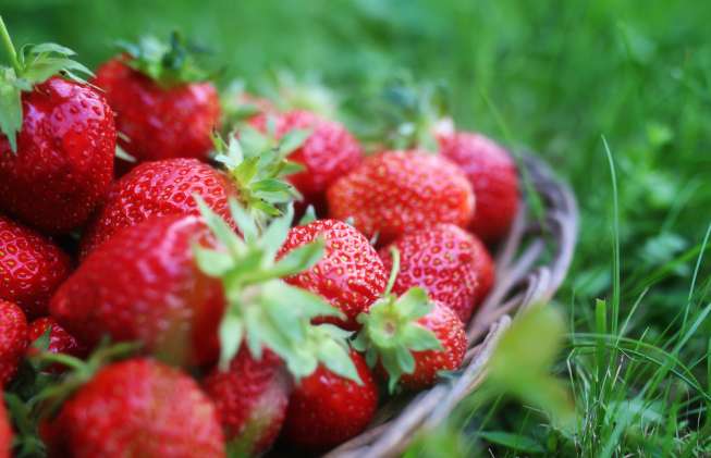 Buah Stroberi. [Shutterstock]