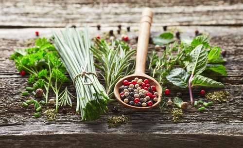 Obat-obatan herbal. [shutterstock]