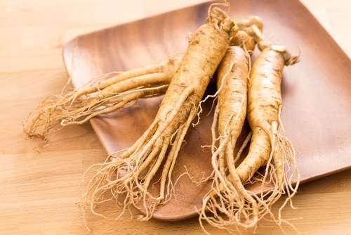 Ilustrasi ginseng. (Shutterstock)