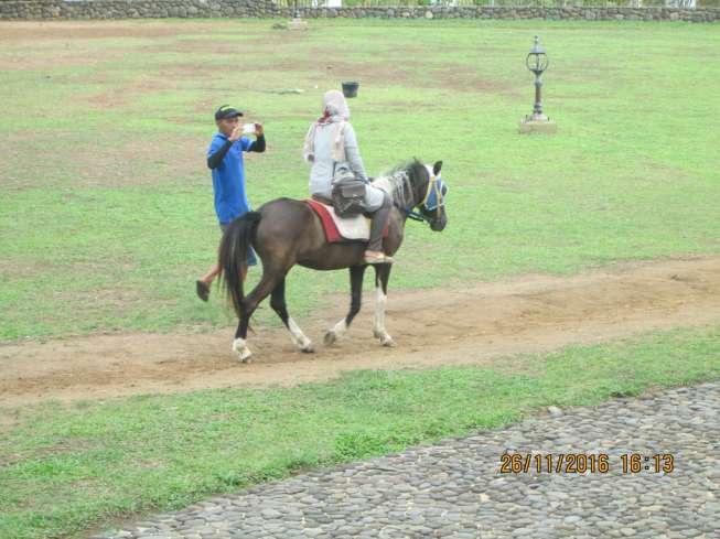 Kuda yang disewakan kepada pengunjung Istana Pagaruyung, Sumatera Barat. [Suara.com/Adhitya Himawan]