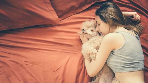 Ilustrasi tidur dengan hewan peliharaan (Shutterstock)