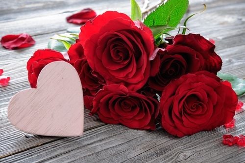 Bunga Ros untuk hadiah atau kado Valentine. (Shutterstock)