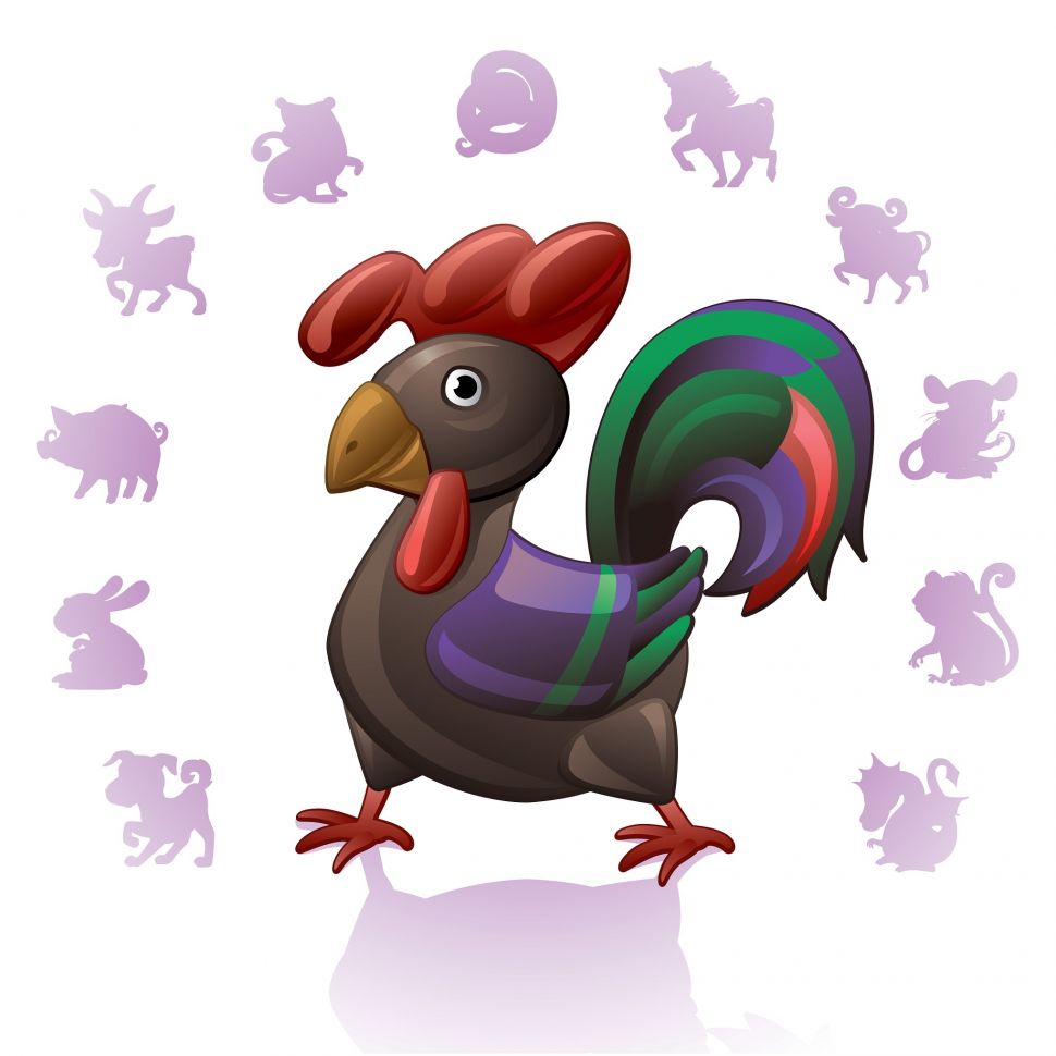 Ayam shio. [Shutterstock]