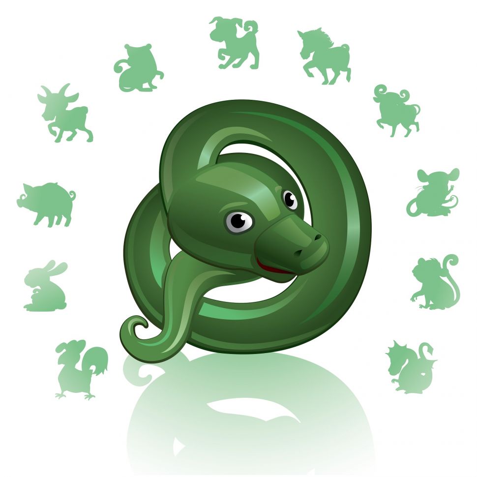 Shio ular. [Shutterstock]