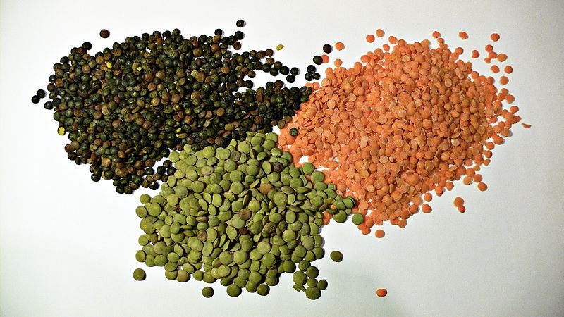 Tiga jenis kacang lentil. (Wikipedia)