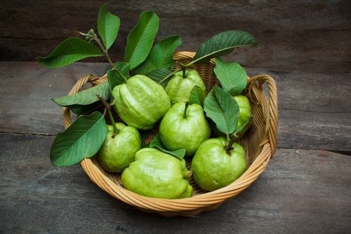 Daun jambu biji. (Shutterstock)