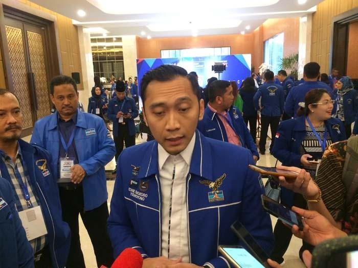 Ketua Komisi Pemenangan Pemilu DPP Partai Demokrat, Edhie Baskoro Yudhoyono. [Suara.com/Muhamad Yasir]