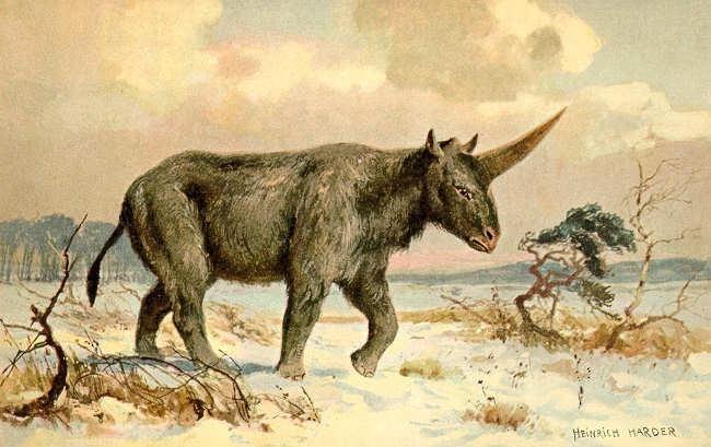 Ilustrasi unicorn Siberia. (Wikimedia/ Heinrich Harder)