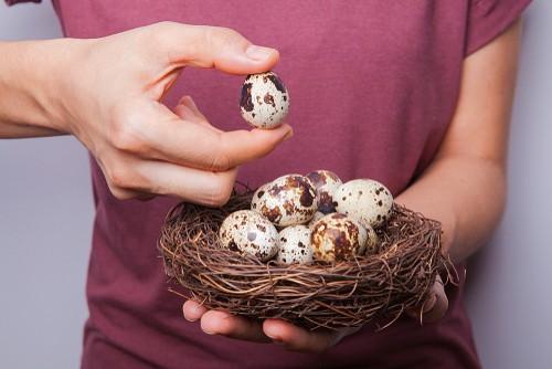 Ilustrasi telur puyuh baik dikonsumsi anak-anak dan orang dewasa. (Shutterstock)