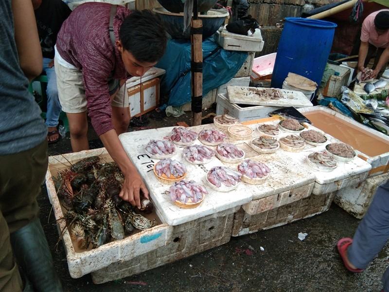 Pedagang ikan di pasar Muara Angke [Suara.com/Walda]